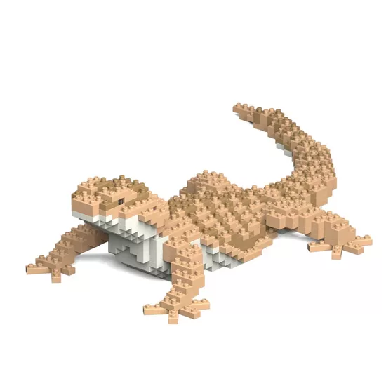 Agama bradatá (Bradatý drak) 01